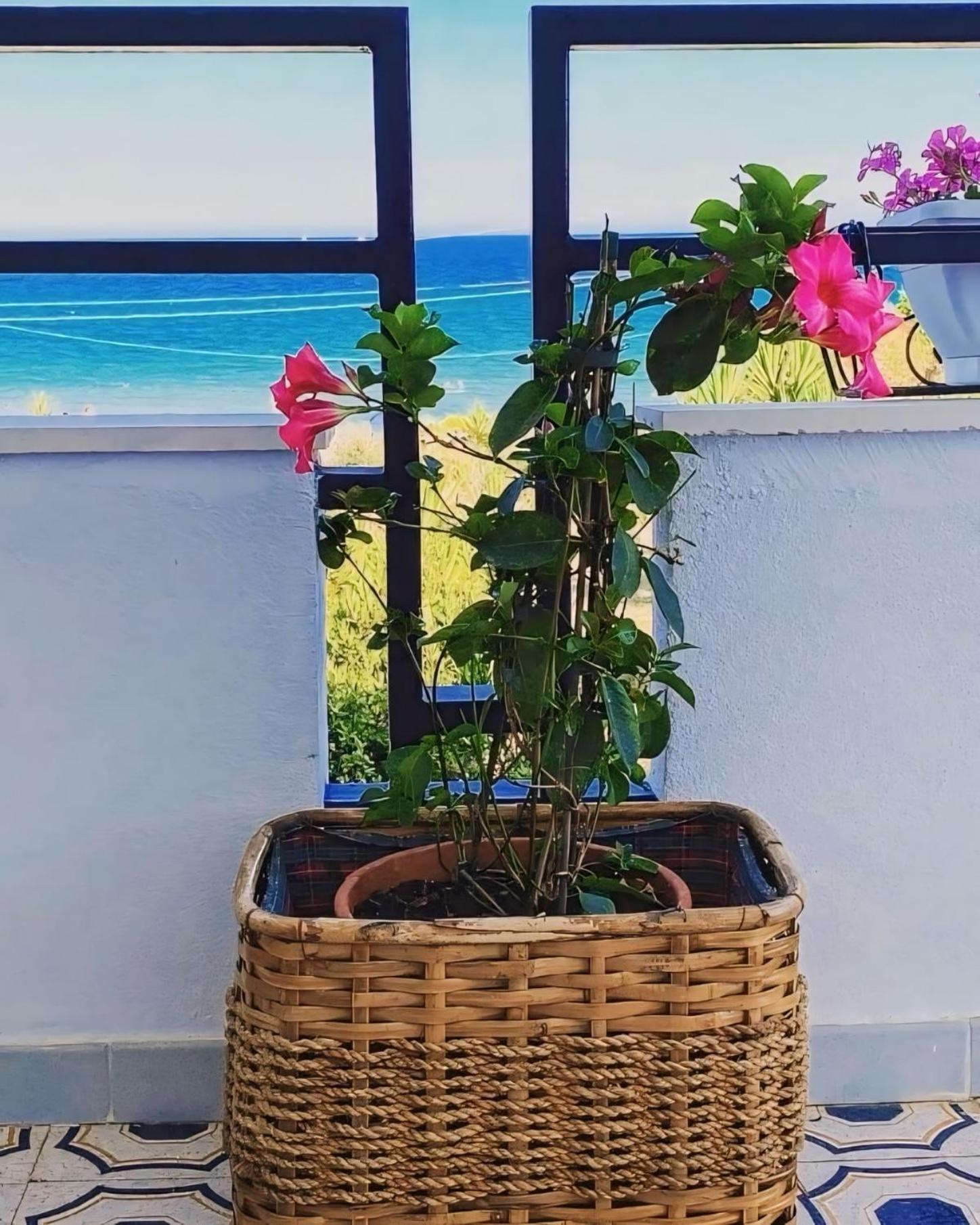 Il Mare Di Ciccio Avola